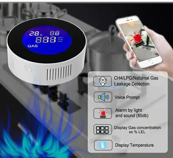 Gas leak detector